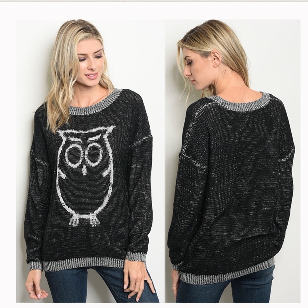 FINAL PRICE: What a HOOT Sweater 🦉